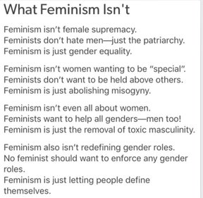 Essay on feminism